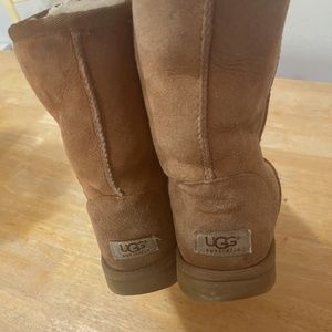 Classic Short Chestnut Ugg Boots